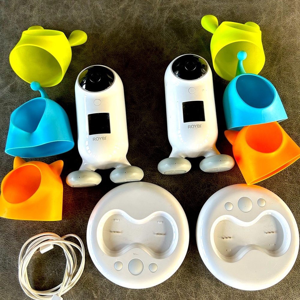 ROYBI Robot (priced per each)